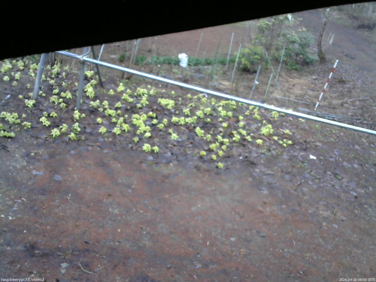 長野県菅平高原 ゆたか山荘 駐車場 2026/04/10 06:00