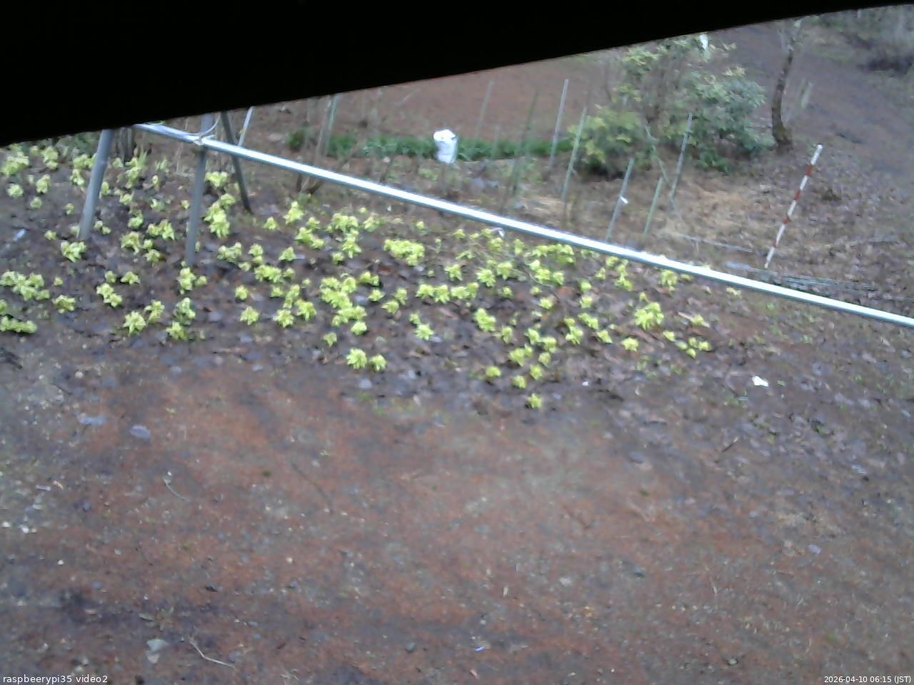 長野県菅平高原 ゆたか山荘 駐車場 2026/04/10 06:15