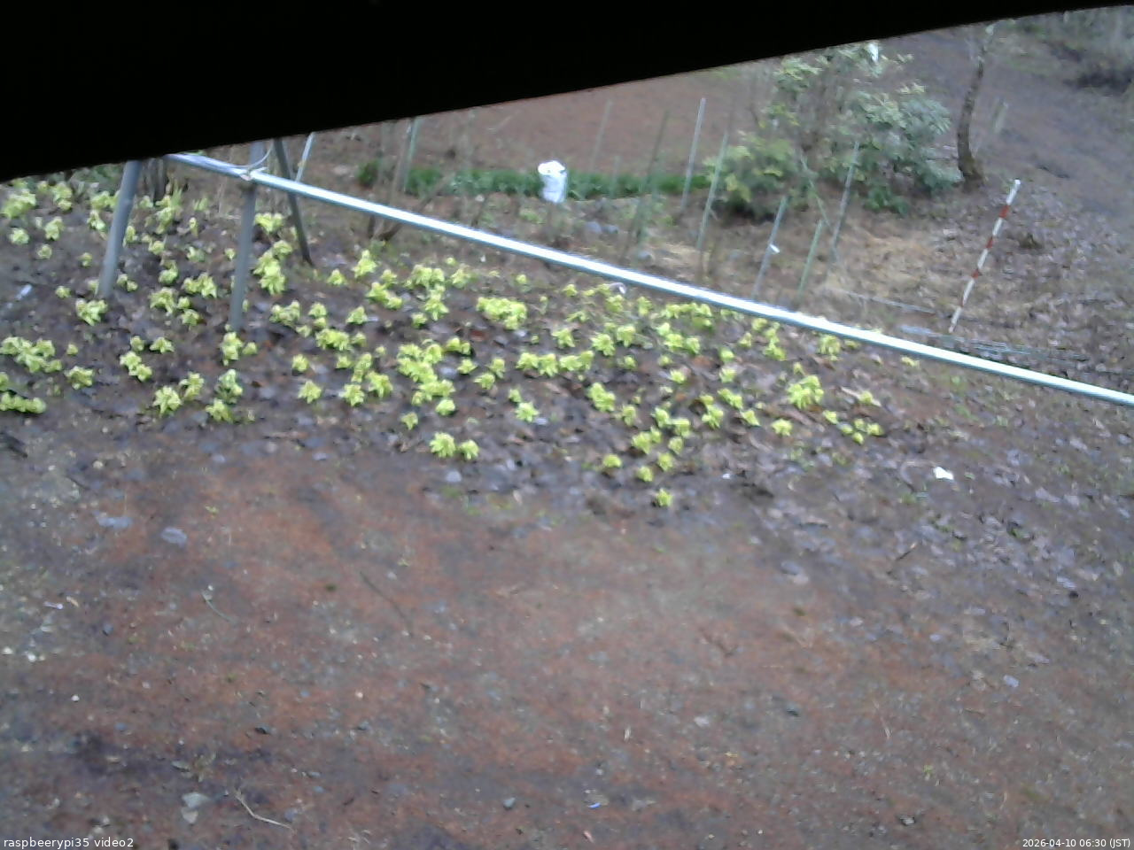 長野県菅平高原 ゆたか山荘 駐車場 2026/04/10 06:30
