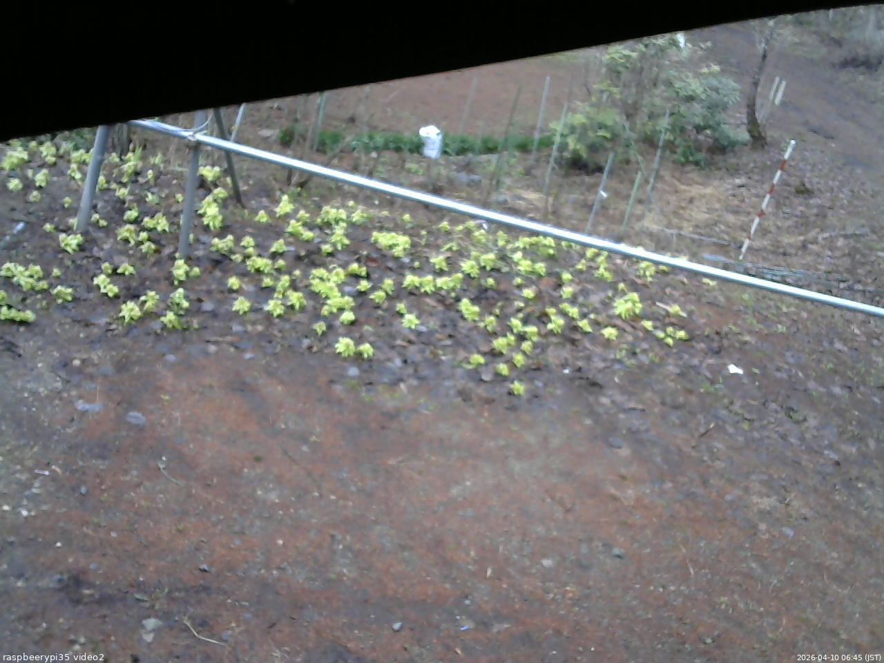 長野県菅平高原 ゆたか山荘 駐車場 2026/04/10 06:45