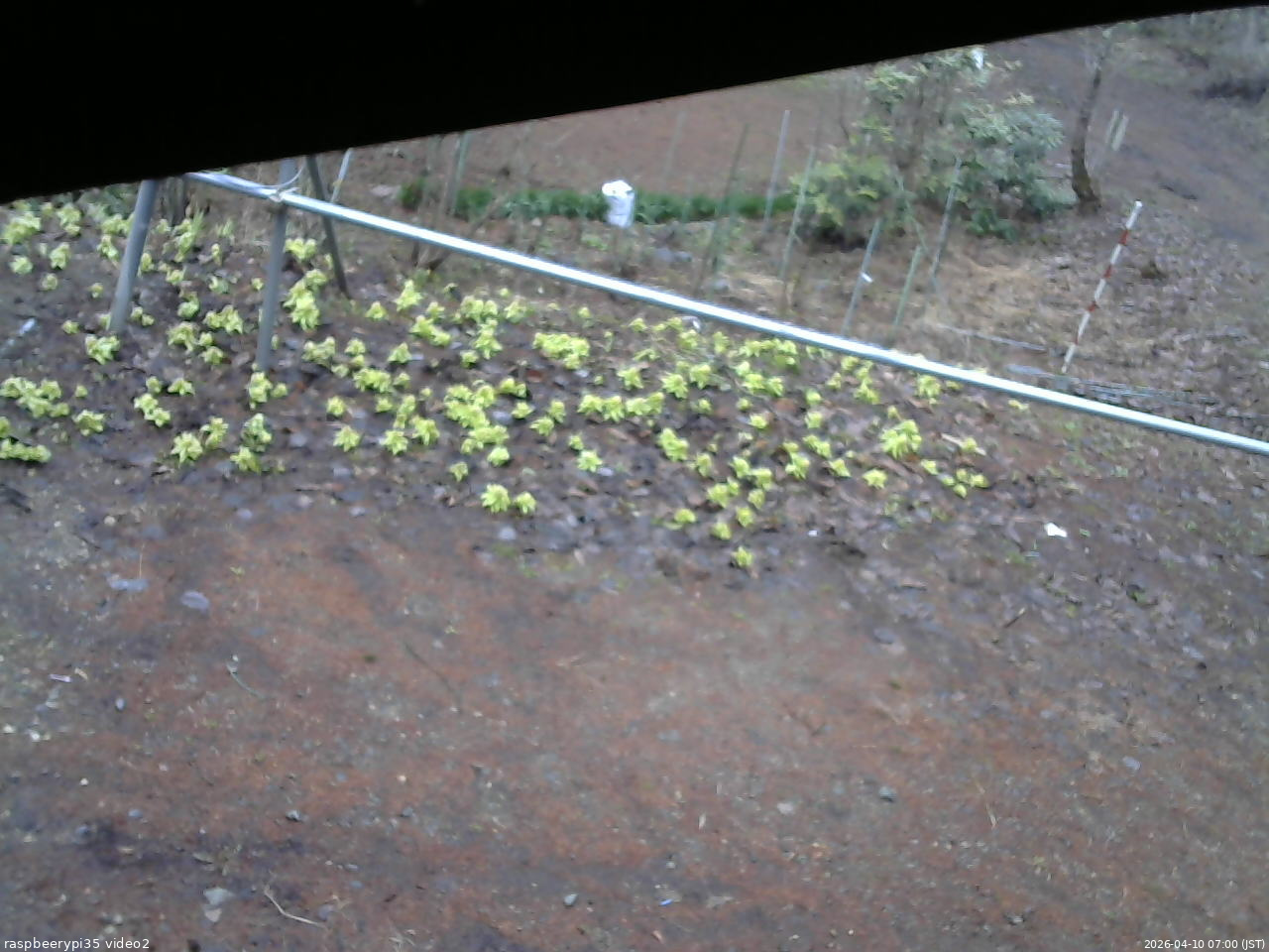 長野県菅平高原 ゆたか山荘 駐車場 2026/04/10 07:00