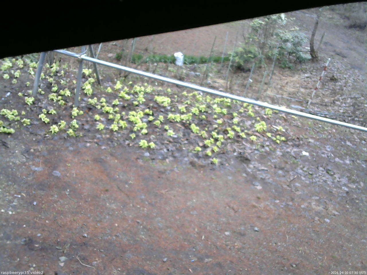 長野県菅平高原 ゆたか山荘 駐車場 2026/04/10 07:30