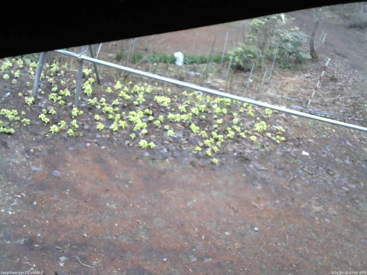 長野県菅平高原 ゆたか山荘 駐車場 2026/04/10 07:45