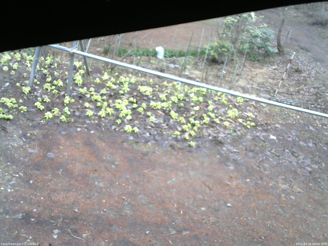 長野県菅平高原 ゆたか山荘 駐車場 2026/04/10 08:00