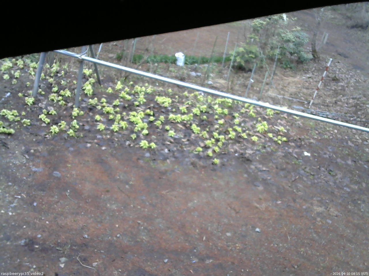 長野県菅平高原 ゆたか山荘 駐車場 2026/04/10 08:15