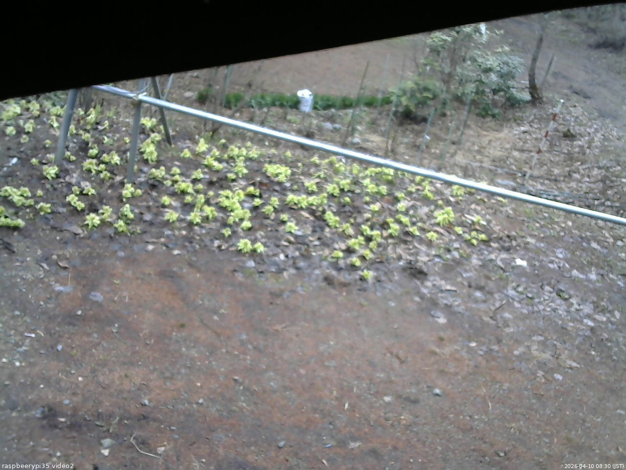 長野県菅平高原 ゆたか山荘 駐車場 2026/04/10 08:30