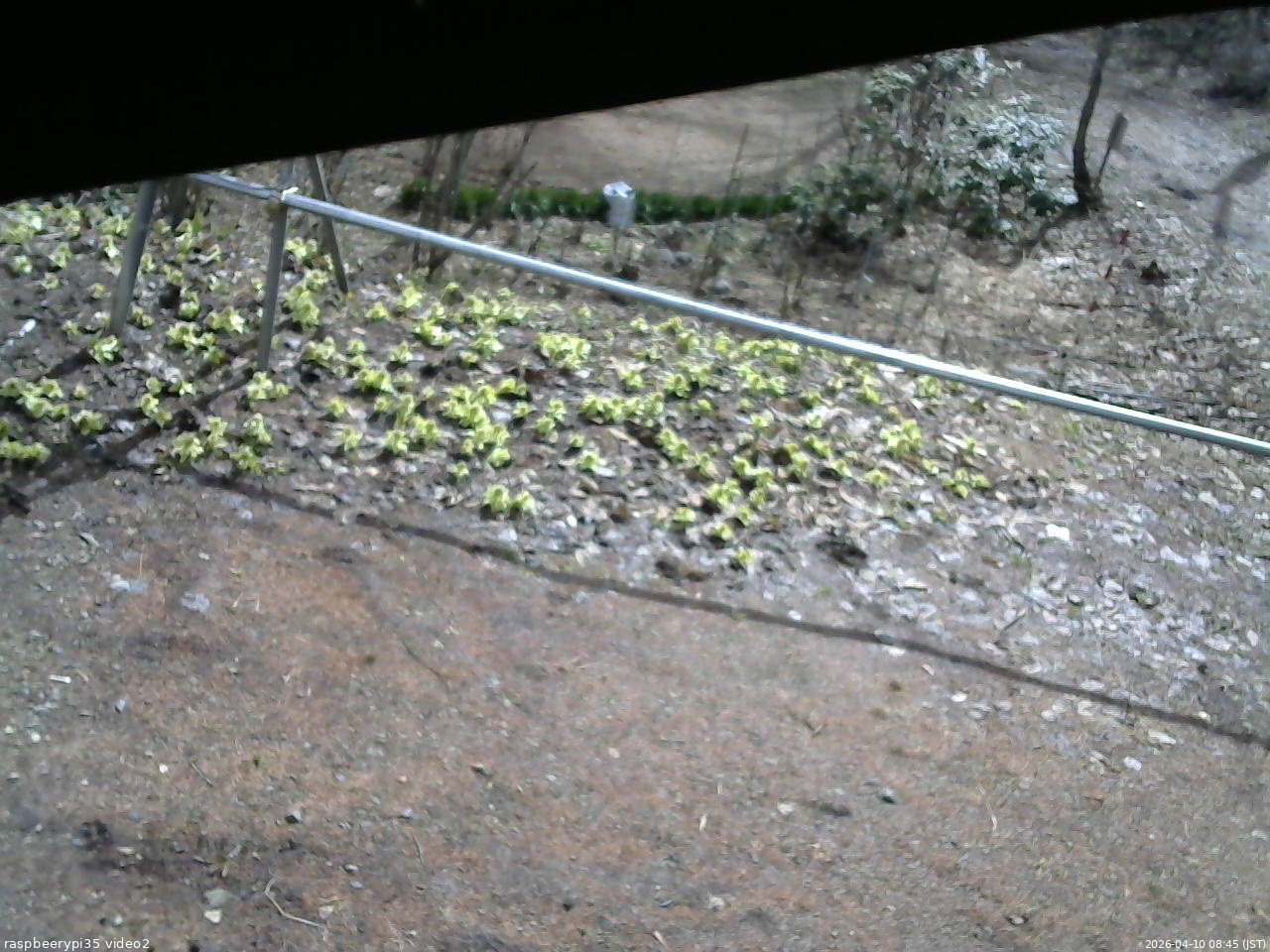 長野県菅平高原 ゆたか山荘 駐車場 2026/04/10 08:45