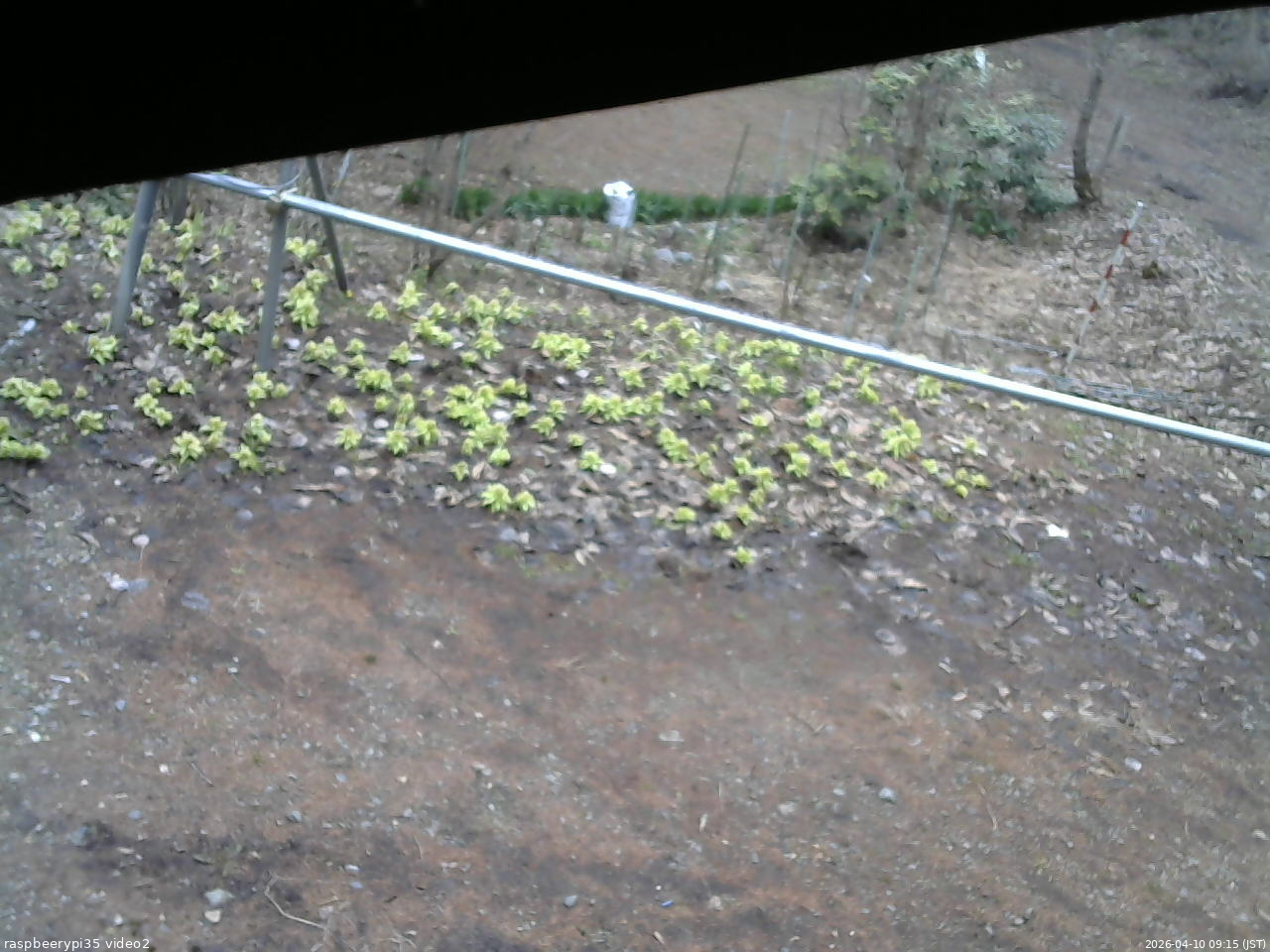 長野県菅平高原 ゆたか山荘 駐車場 2026/04/10 09:15