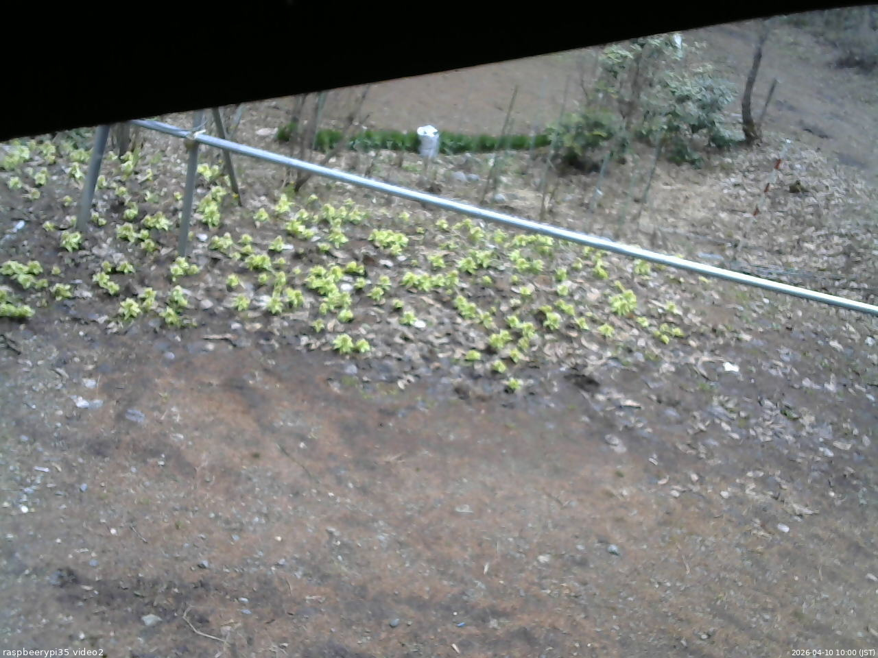 長野県菅平高原 ゆたか山荘 駐車場 2026/04/10 10:00