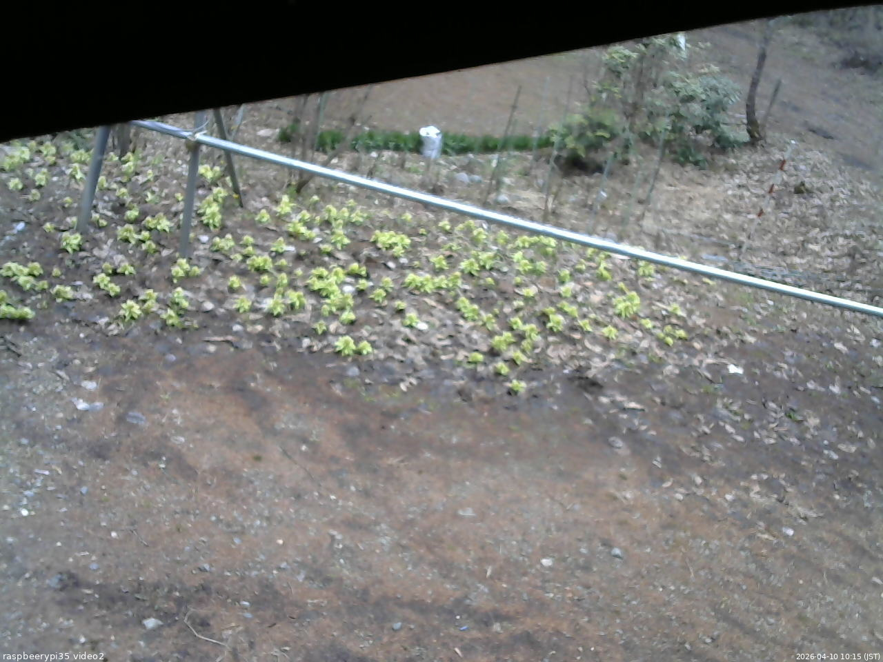 長野県菅平高原 ゆたか山荘 駐車場 2026/04/10 10:15
