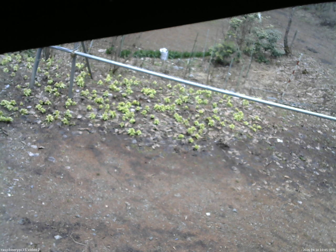 長野県菅平高原 ゆたか山荘 駐車場 2026/04/10 10:45