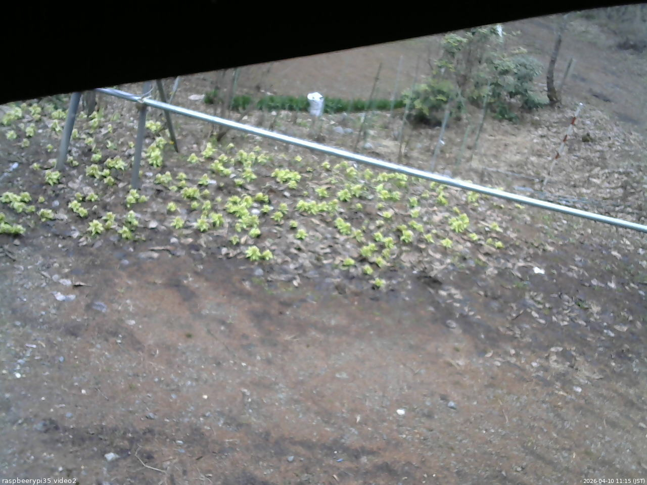 長野県菅平高原 ゆたか山荘 駐車場 2026/04/10 11:15