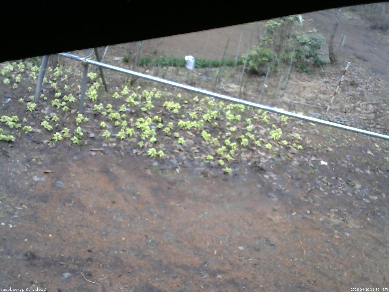 長野県菅平高原 ゆたか山荘 駐車場 2026/04/10 11:30