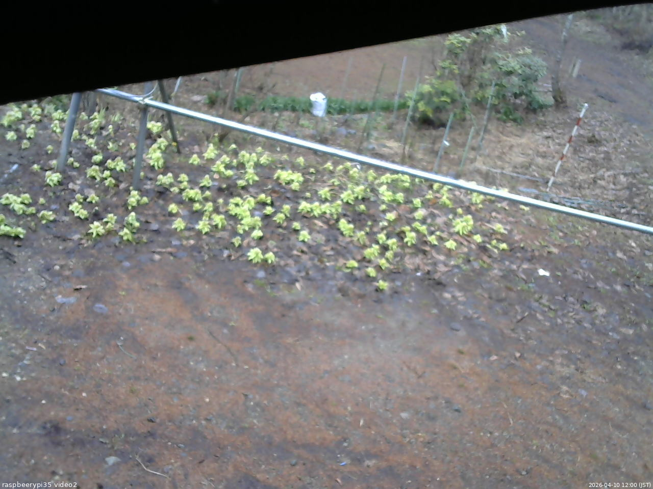 長野県菅平高原 ゆたか山荘 駐車場 2026/04/10 12:00