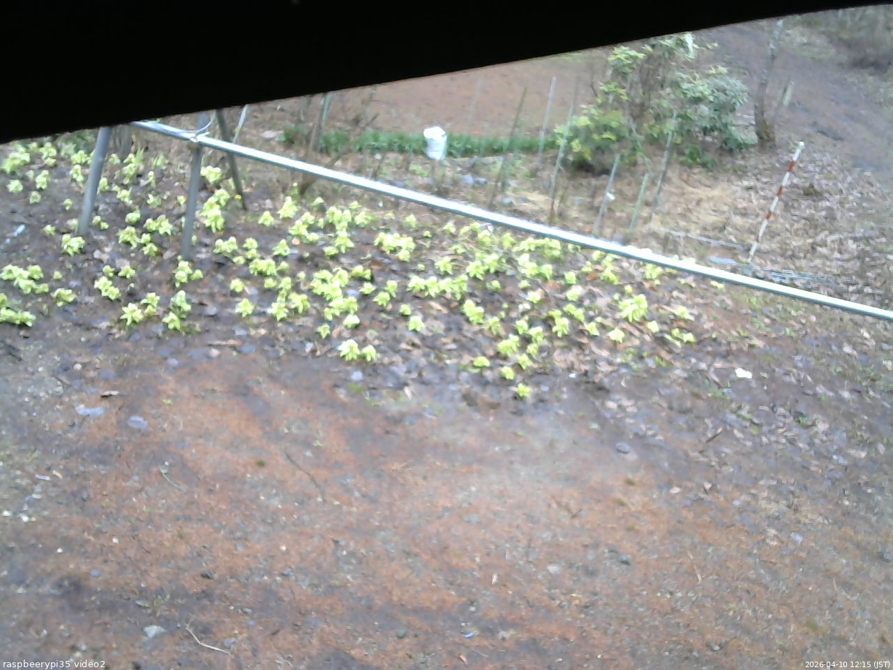 長野県菅平高原 ゆたか山荘 駐車場 2026/04/10 12:15