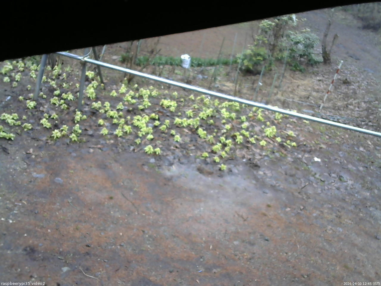 長野県菅平高原 ゆたか山荘 駐車場 2026/04/10 12:45