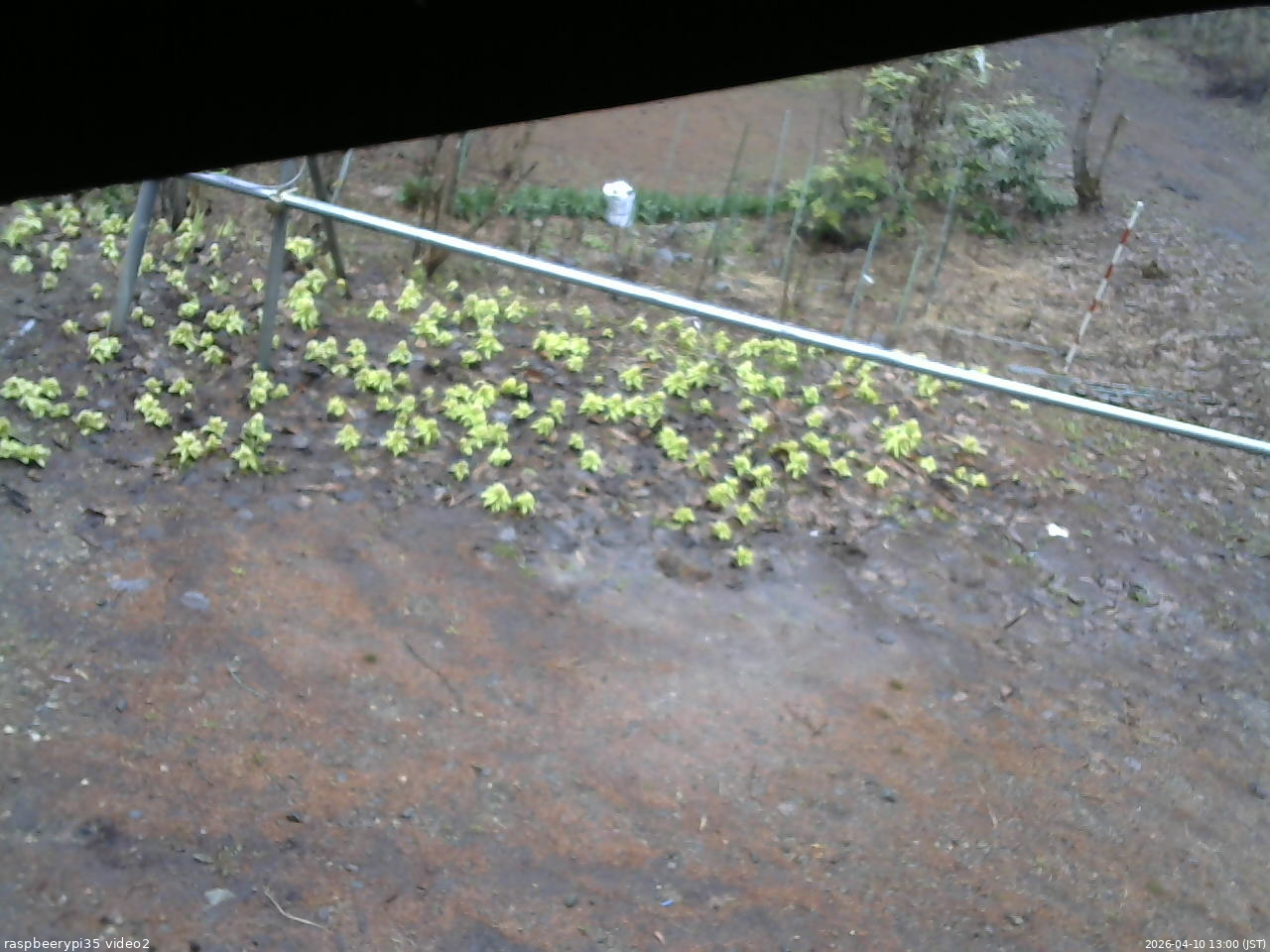 長野県菅平高原 ゆたか山荘 駐車場 2026/04/10 13:00