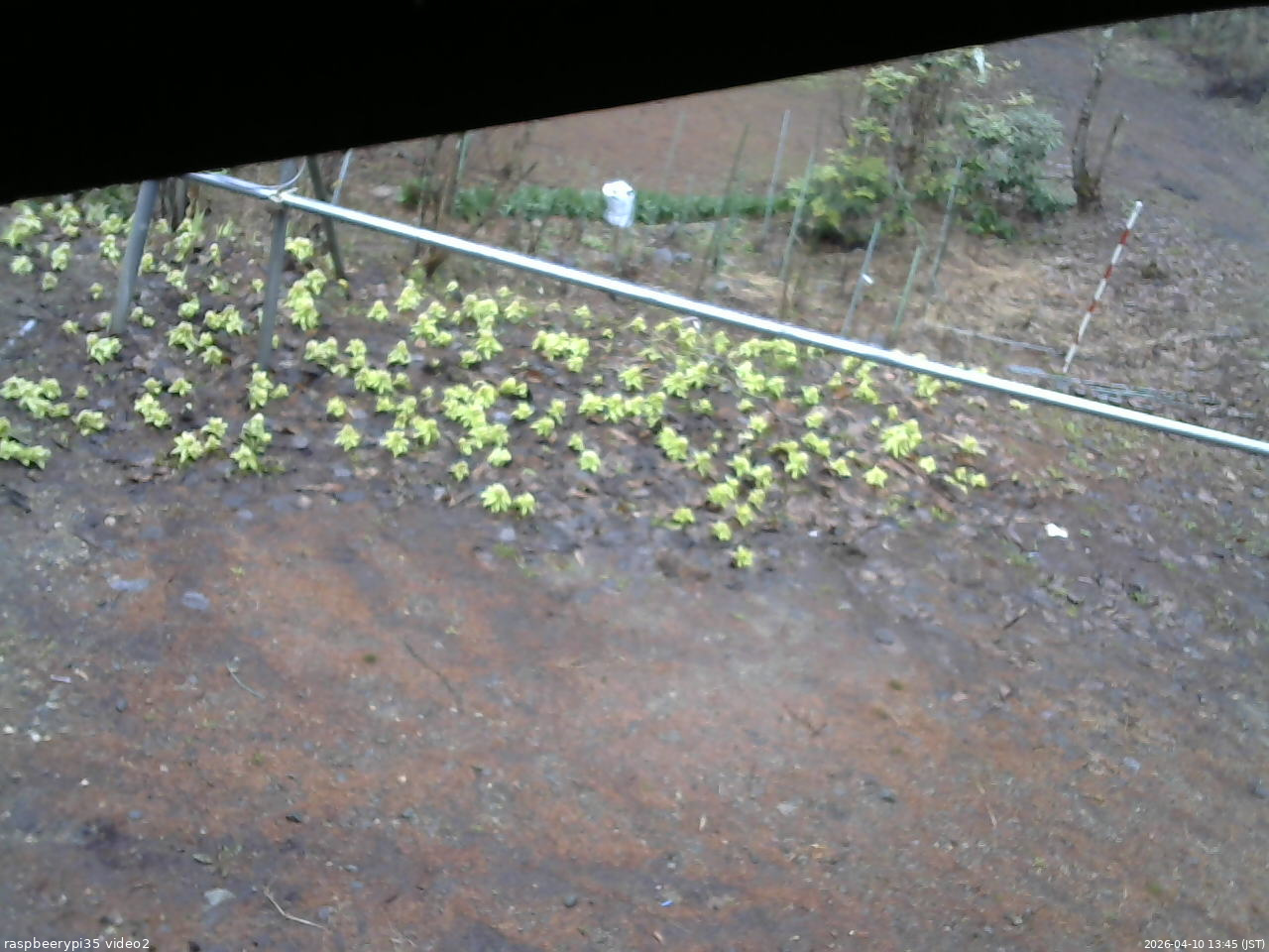 長野県菅平高原 ゆたか山荘 駐車場 2026/04/10 13:45
