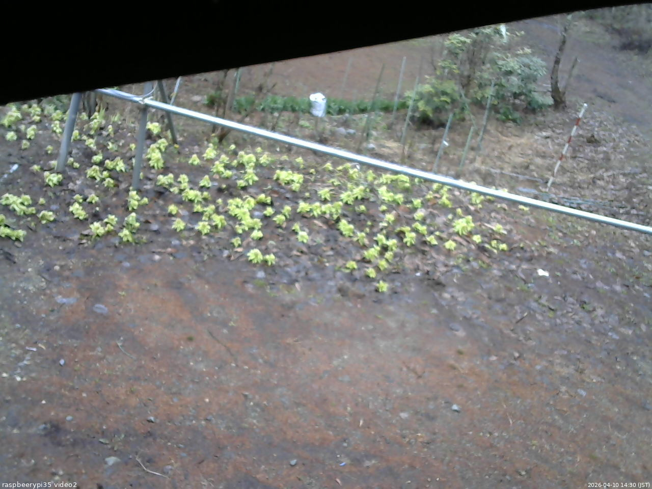 長野県菅平高原 ゆたか山荘 駐車場 2026/04/10 14:30
