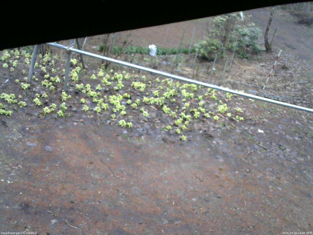 長野県菅平高原 ゆたか山荘 駐車場 2026/04/10 14:45