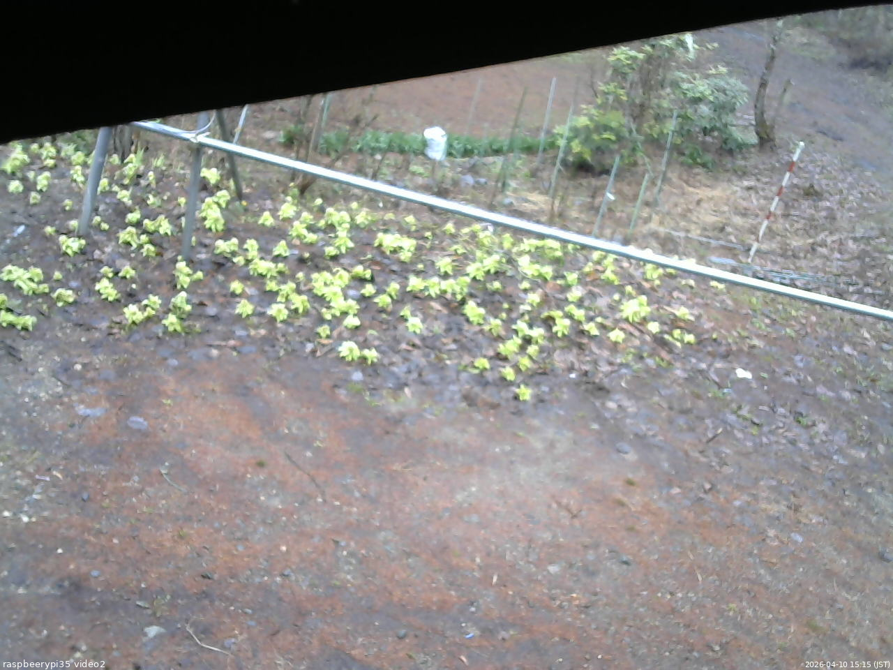 長野県菅平高原 ゆたか山荘 駐車場 2026/04/10 15:15