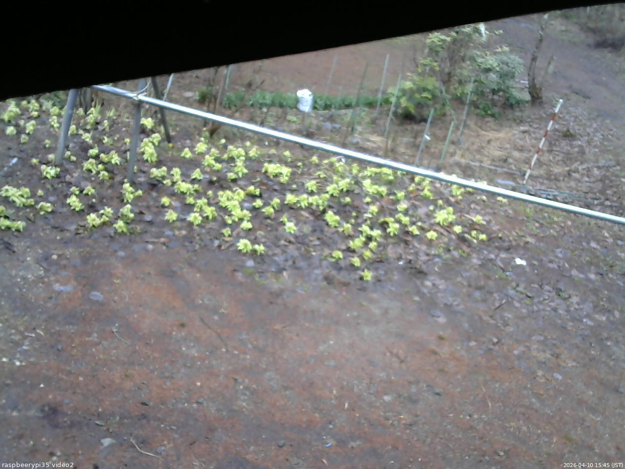 長野県菅平高原 ゆたか山荘 駐車場 2026/04/10 15:45