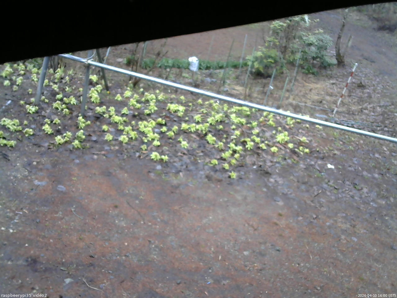 長野県菅平高原 ゆたか山荘 駐車場 2026/04/10 16:00