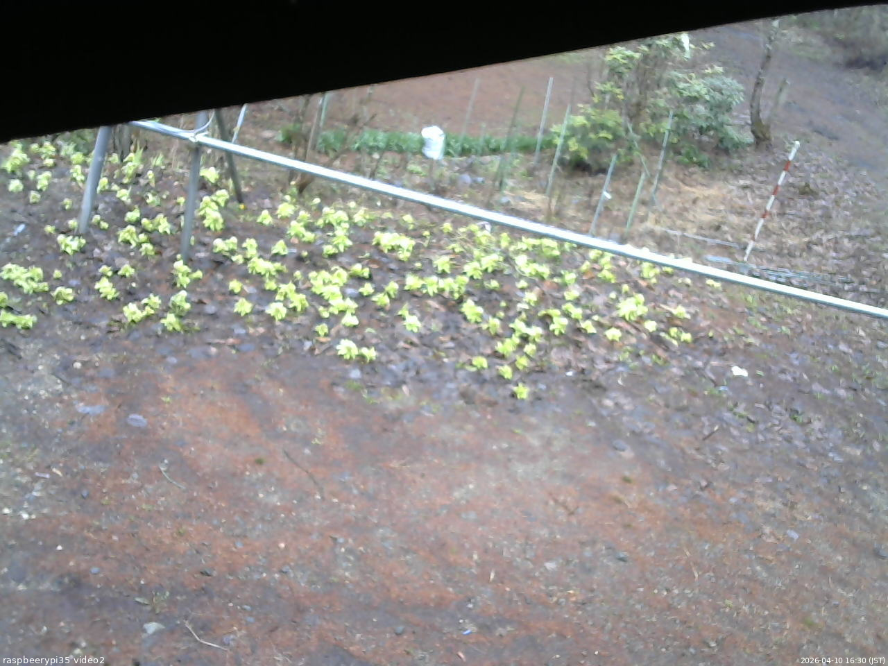 長野県菅平高原 ゆたか山荘 駐車場 2026/04/10 16:30