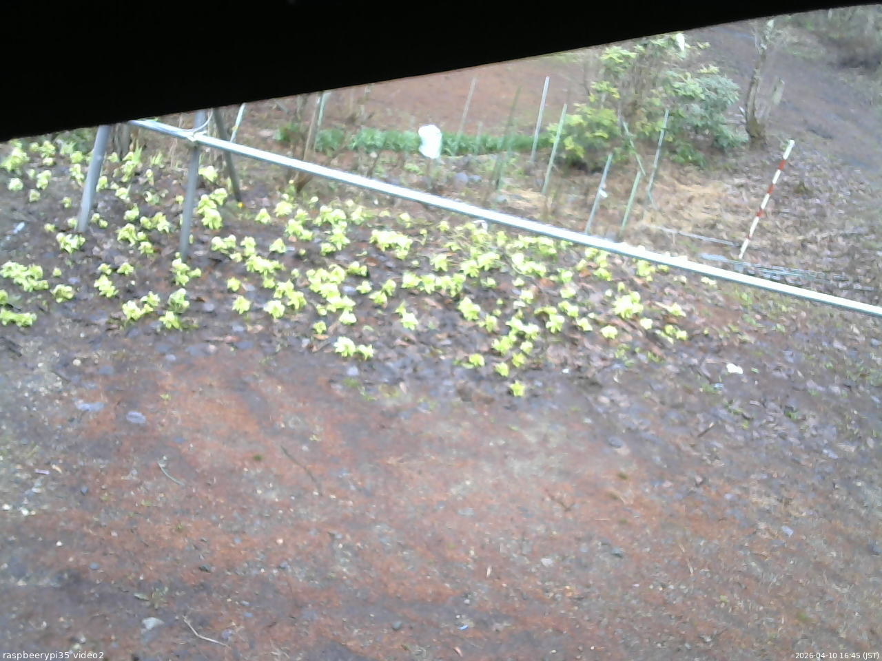 長野県菅平高原 ゆたか山荘 駐車場 2026/04/10 16:45