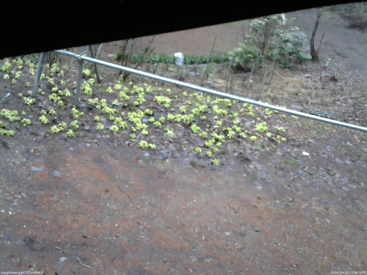 長野県菅平高原 ゆたか山荘 駐車場 2026/04/10 17:00