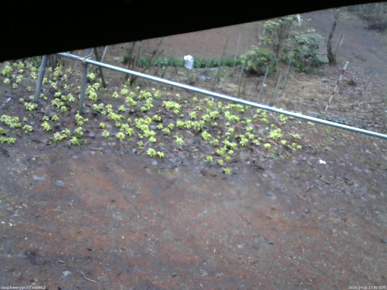長野県菅平高原 ゆたか山荘 駐車場 2026/04/10 17:30