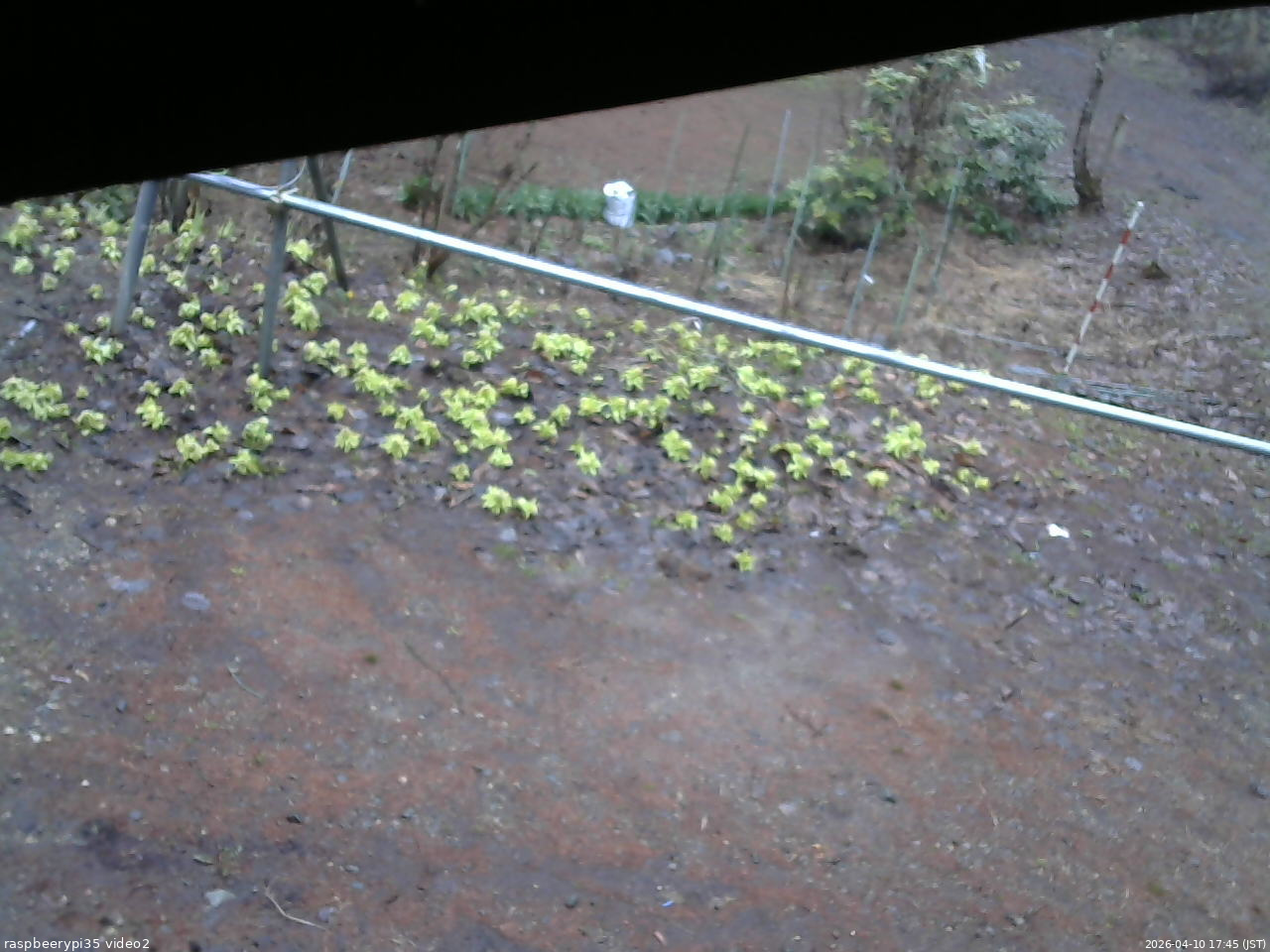 長野県菅平高原 ゆたか山荘 駐車場 2026/04/10 17:45