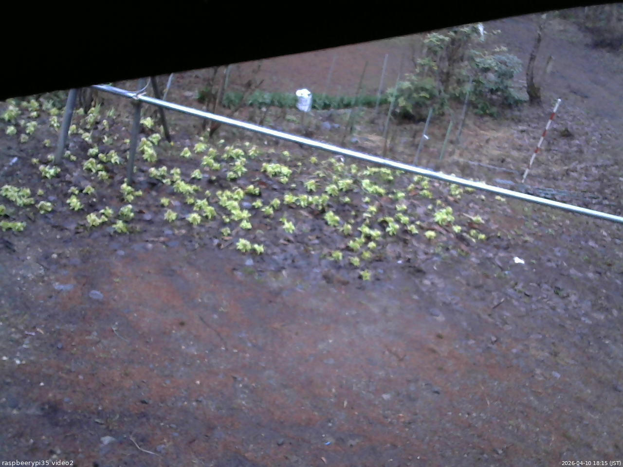 長野県菅平高原 ゆたか山荘 駐車場 2026/04/10 18:15