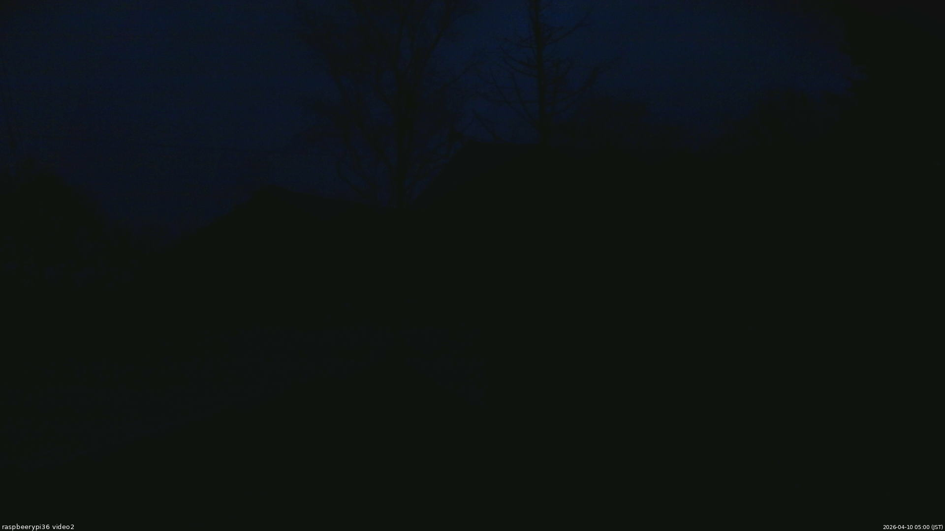 長野県菅平高原 ゆたか山荘 駐車場奥 2026/04/10 05:00