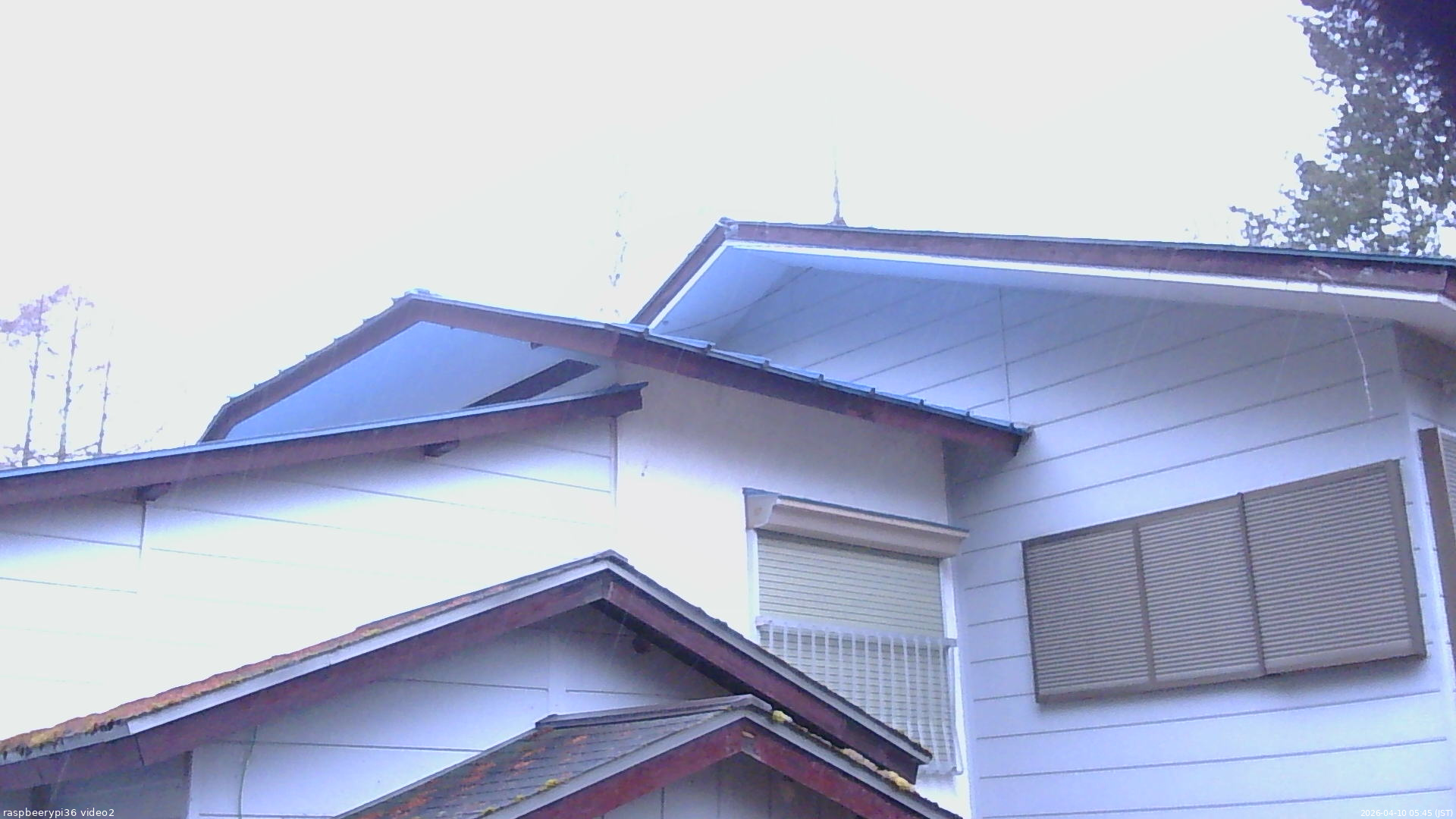 長野県菅平高原 ゆたか山荘 駐車場奥 2026/04/10 05:45