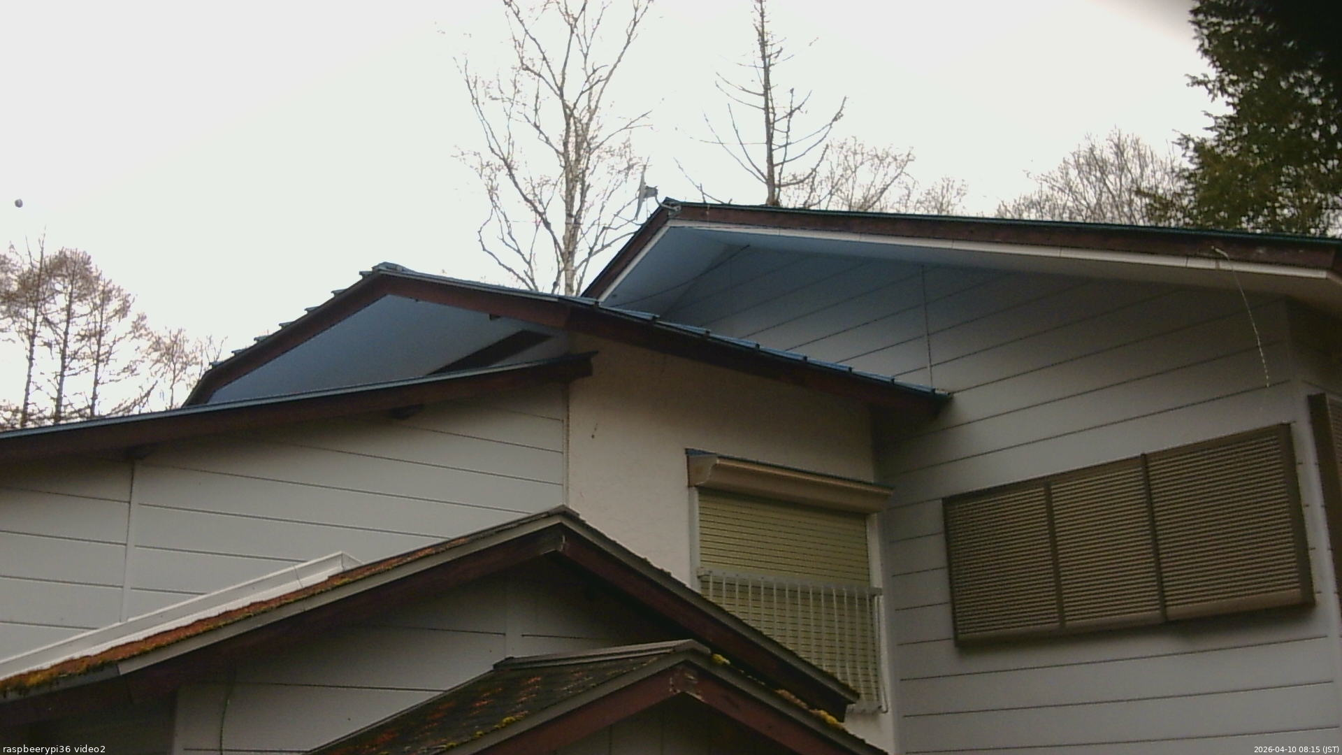 長野県菅平高原 ゆたか山荘 駐車場奥 2026/04/10 08:15