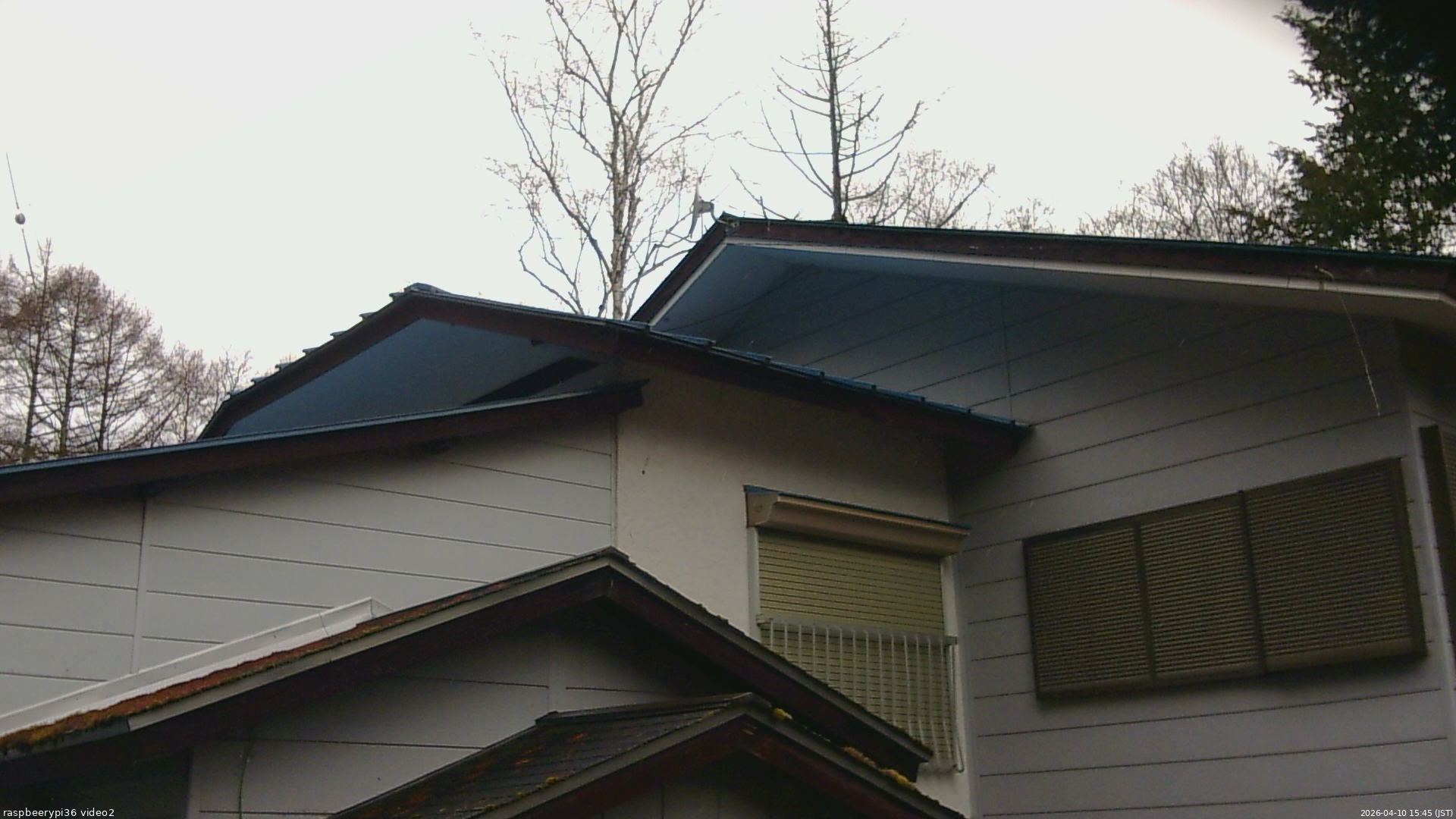 長野県菅平高原 ゆたか山荘 駐車場奥 2026/04/10 15:45