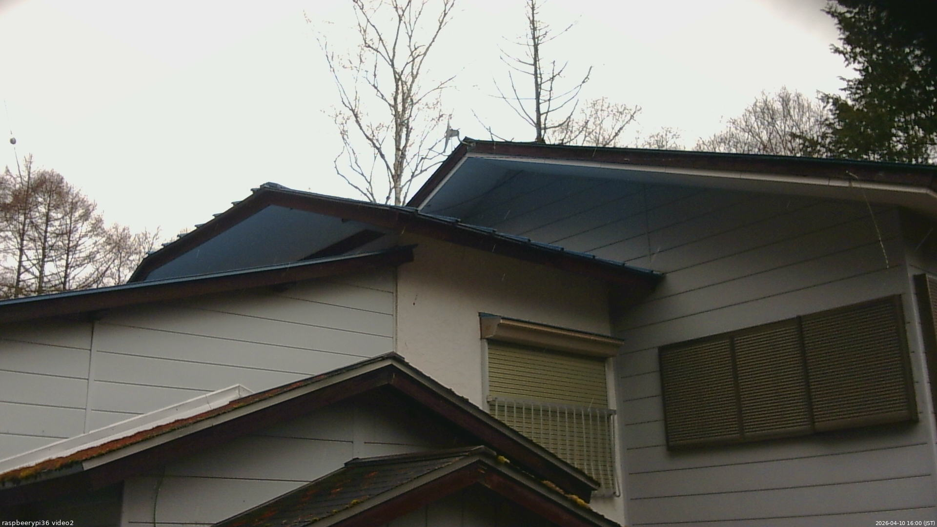 長野県菅平高原 ゆたか山荘 駐車場奥 2026/04/10 16:00