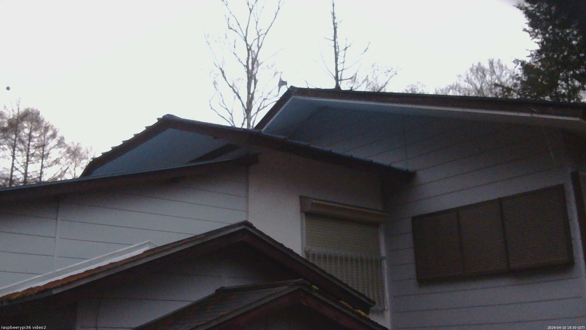 長野県菅平高原 ゆたか山荘 駐車場奥 2026/04/10 18:30