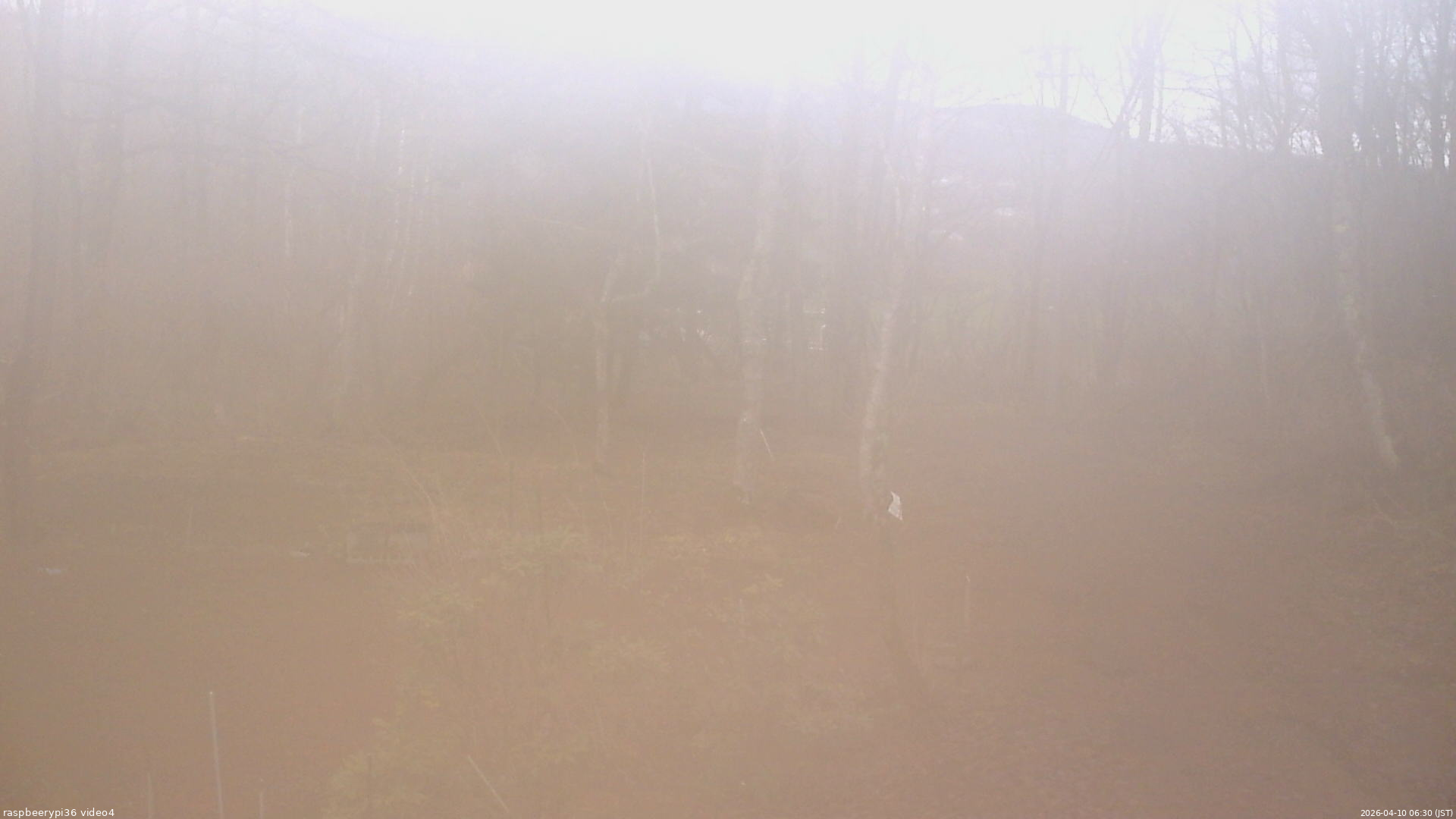 長野県菅平高原 ゆたか山荘 坂上 2026/04/10 06:30