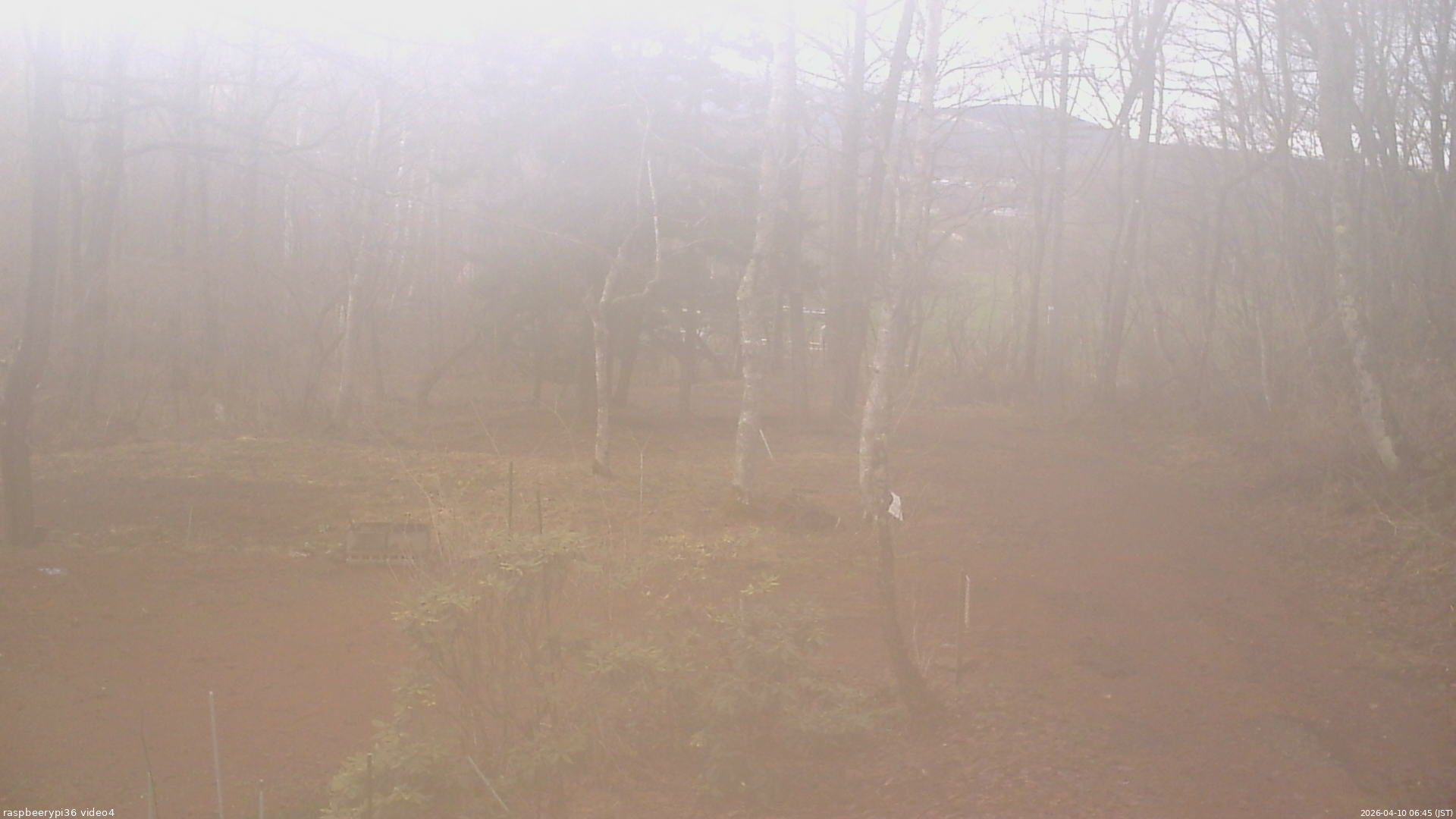 長野県菅平高原 ゆたか山荘 坂上 2026/04/10 06:45