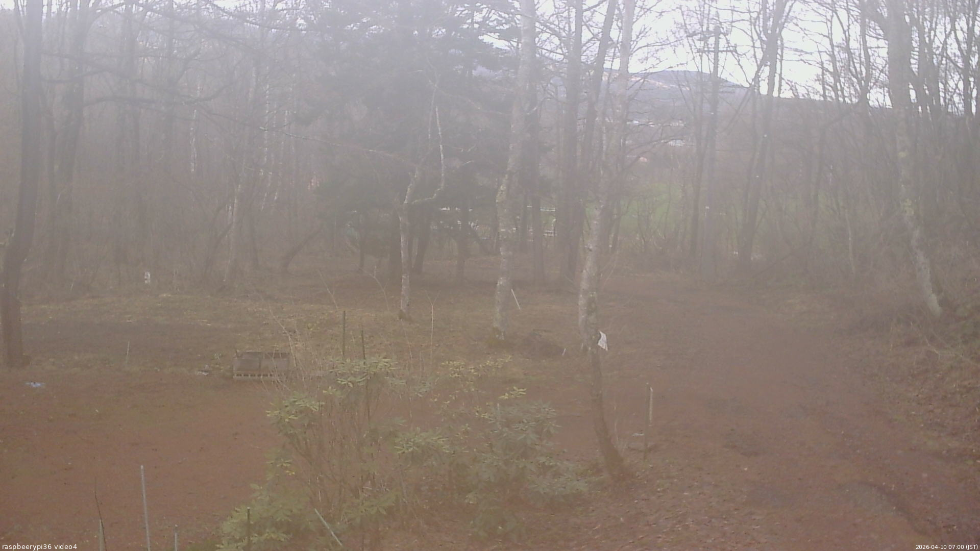 長野県菅平高原 ゆたか山荘 坂上 2026/04/10 07:00