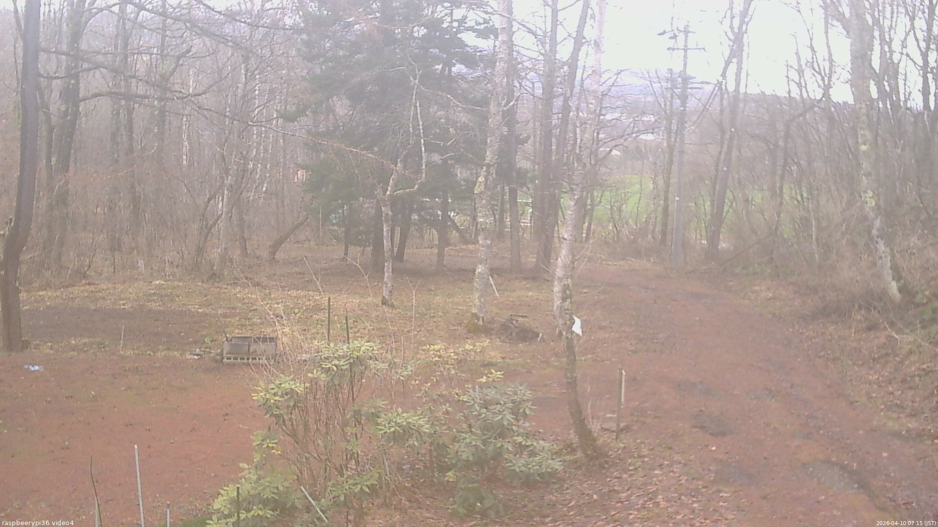 長野県菅平高原 ゆたか山荘 坂上 2026/04/10 07:15