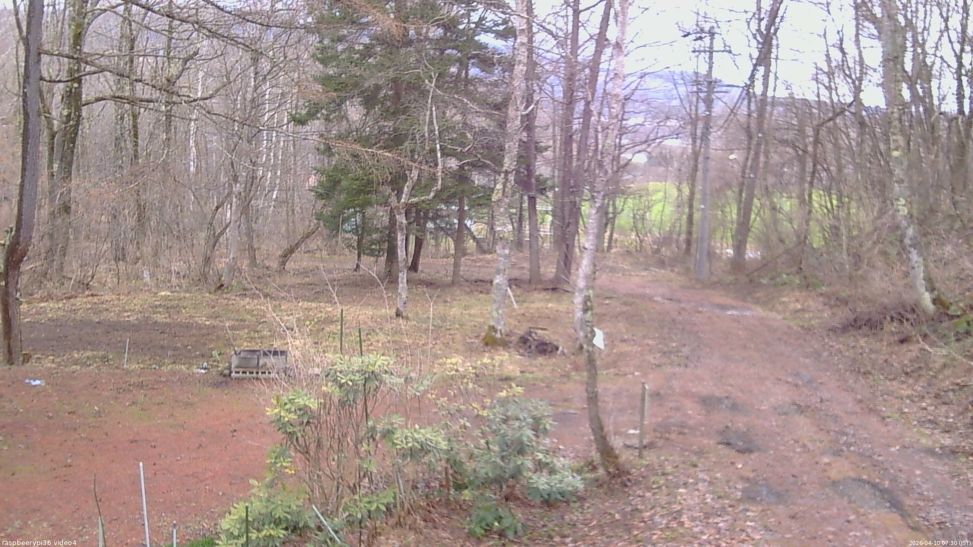長野県菅平高原 ゆたか山荘 坂上 2026/04/10 07:30