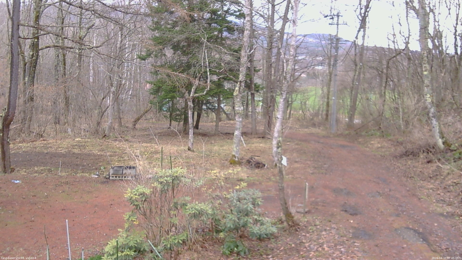 長野県菅平高原 ゆたか山荘 坂上 2026/04/10 07:45