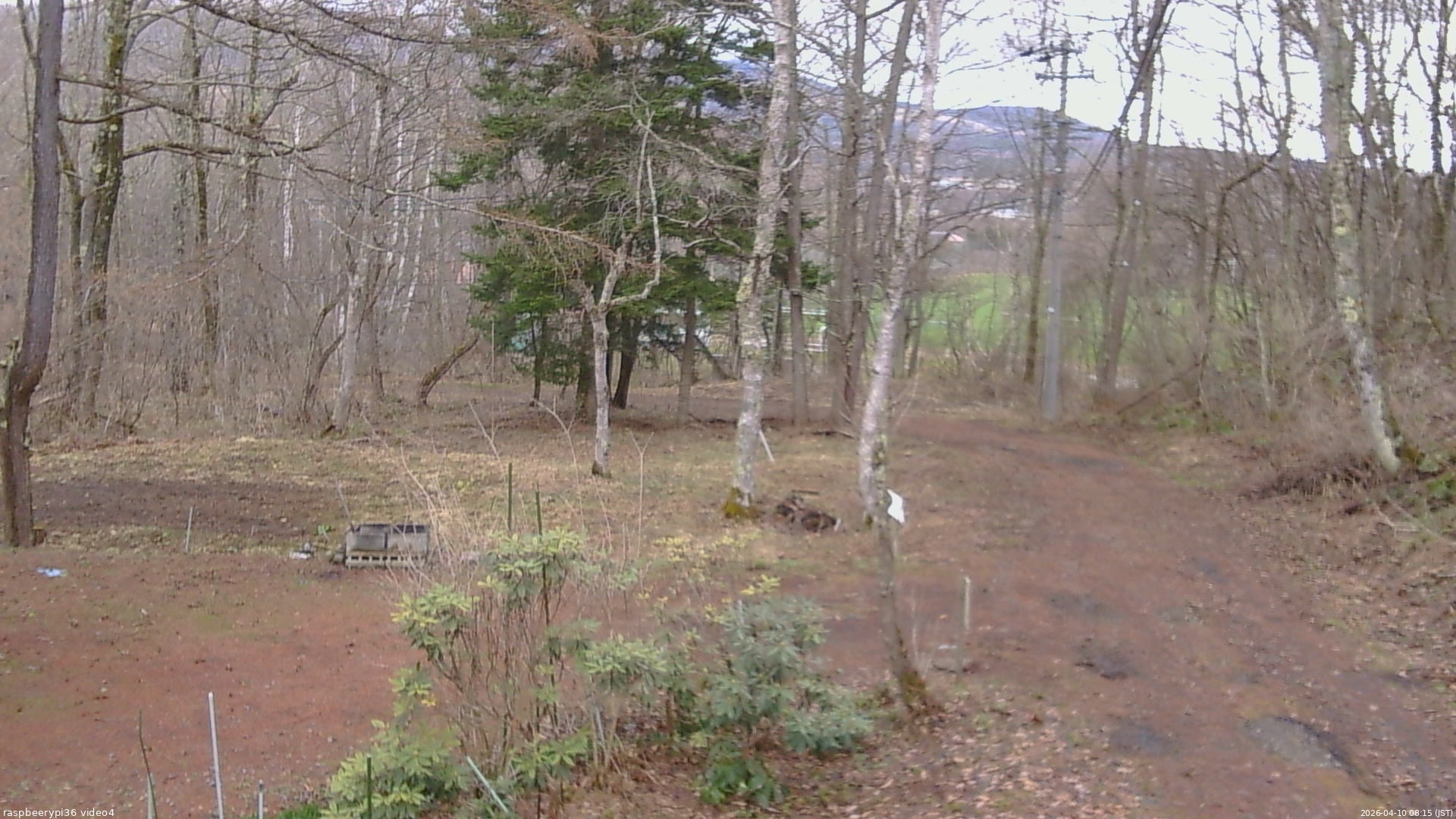長野県菅平高原 ゆたか山荘 坂上 2026/04/10 08:15