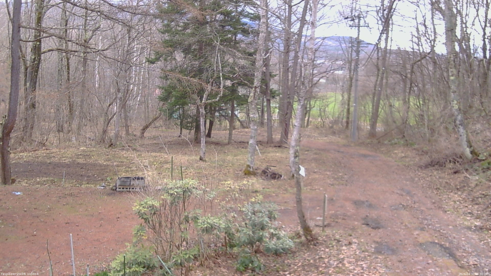 長野県菅平高原 ゆたか山荘 坂上 2026/04/10 08:30