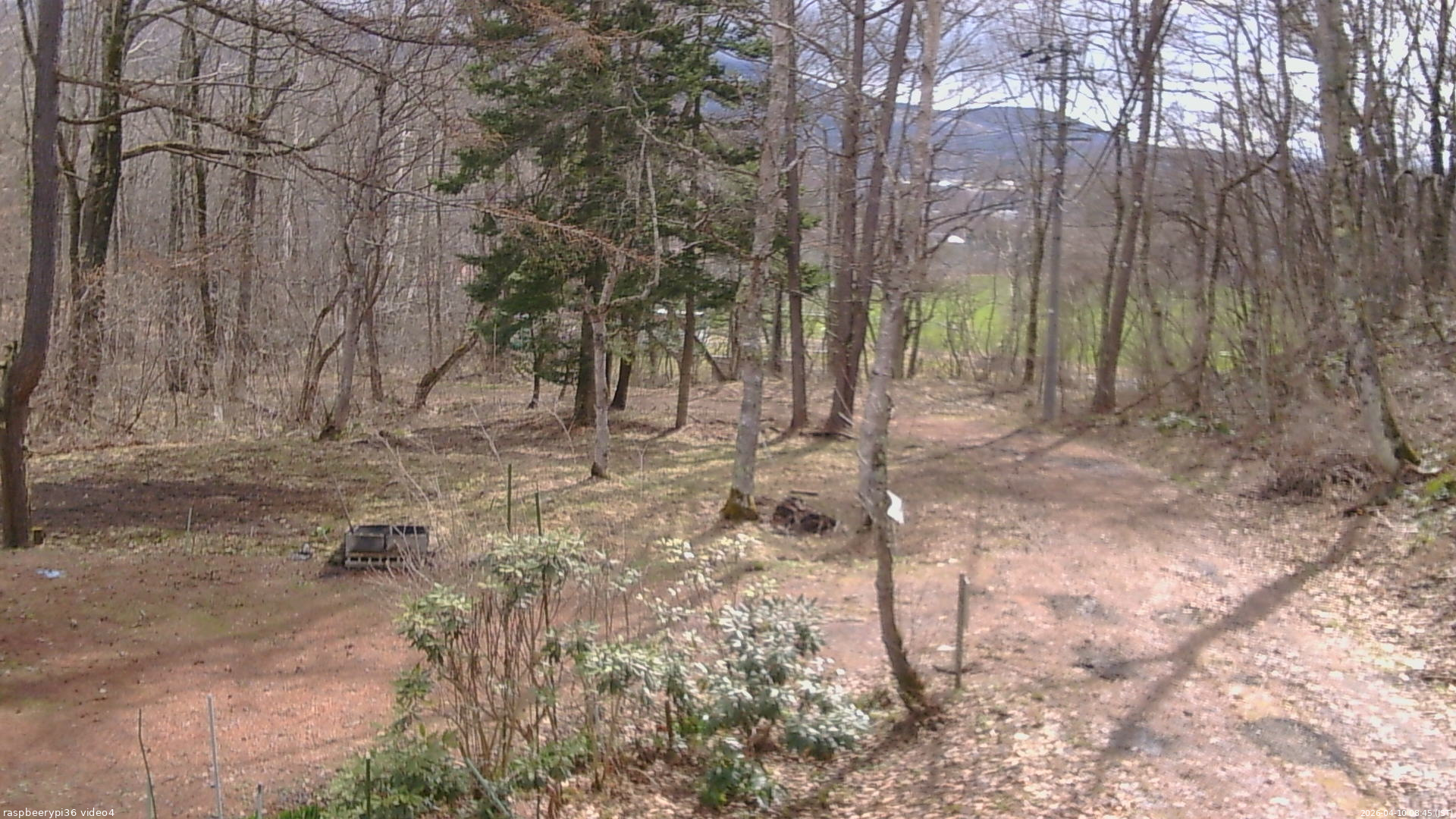 長野県菅平高原 ゆたか山荘 坂上 2026/04/10 08:45