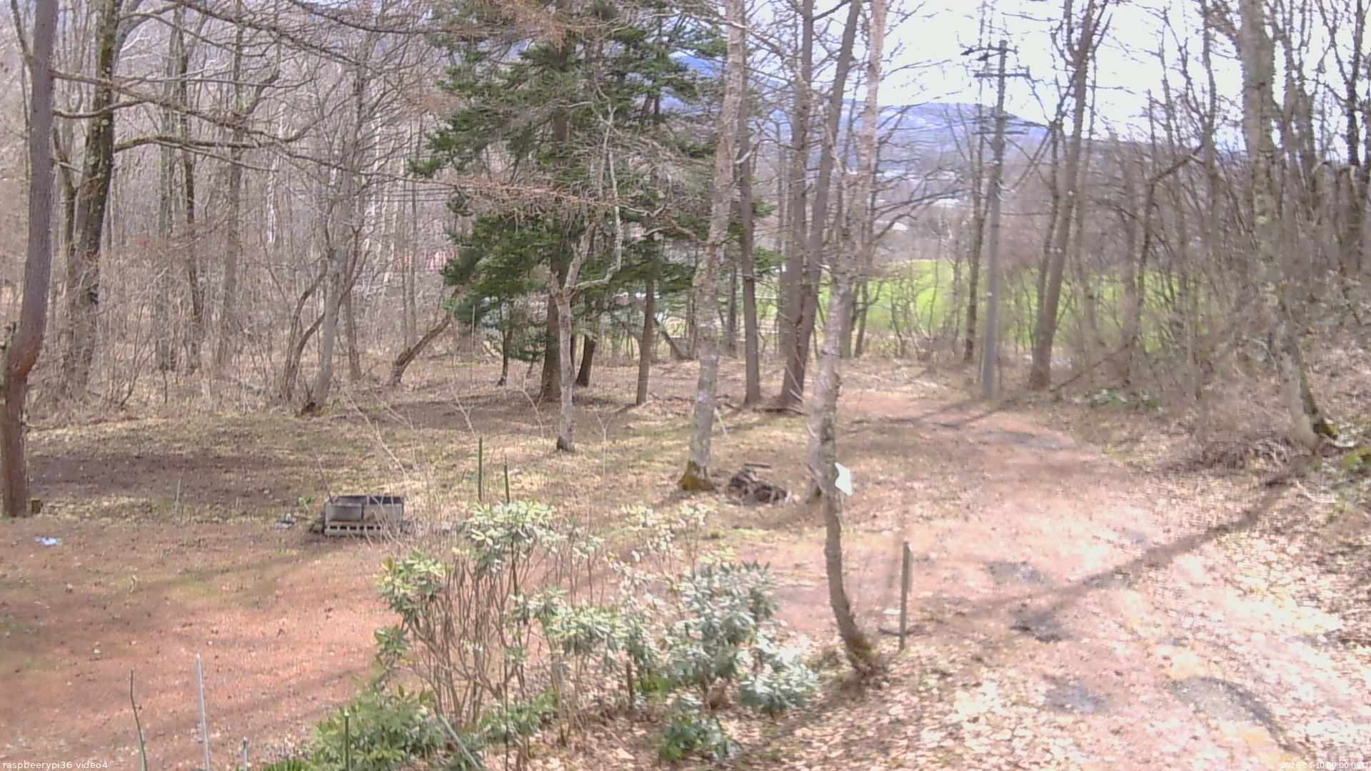 長野県菅平高原 ゆたか山荘 坂上 2026/04/10 09:00