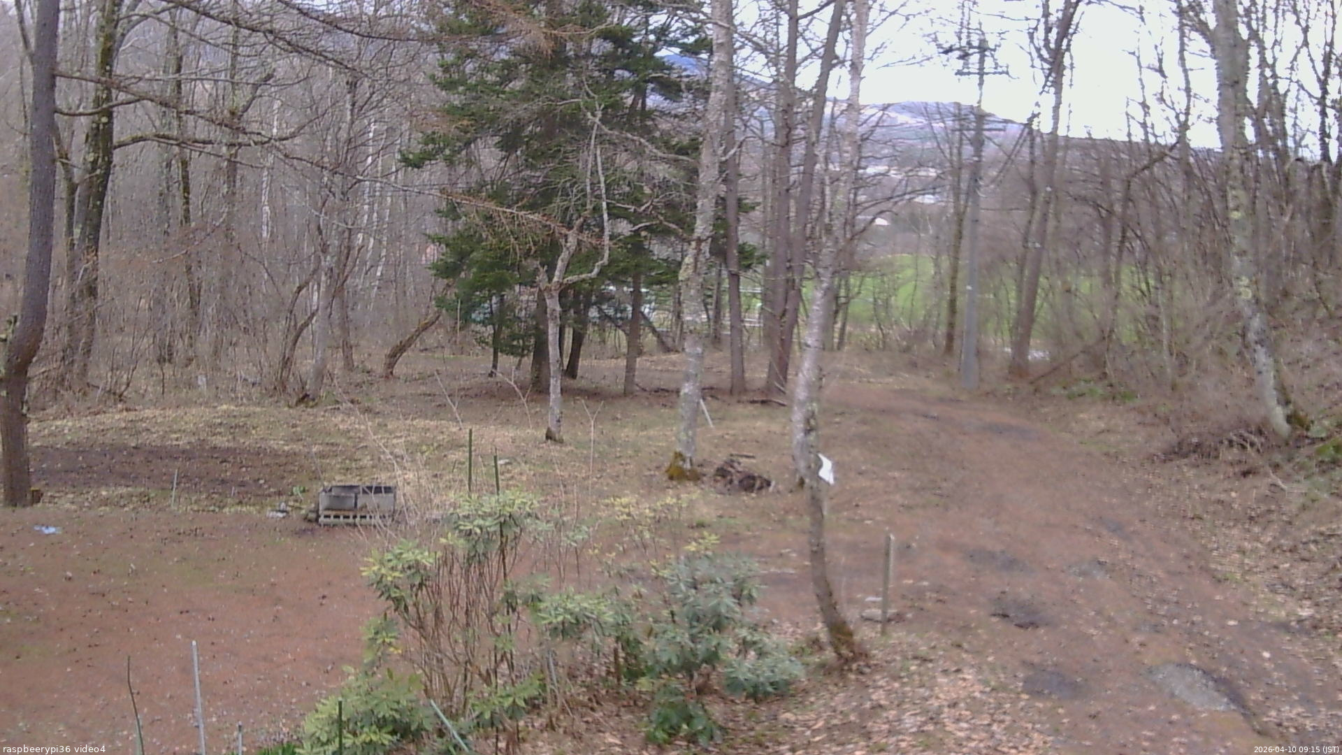 長野県菅平高原 ゆたか山荘 坂上 2026/04/10 09:15